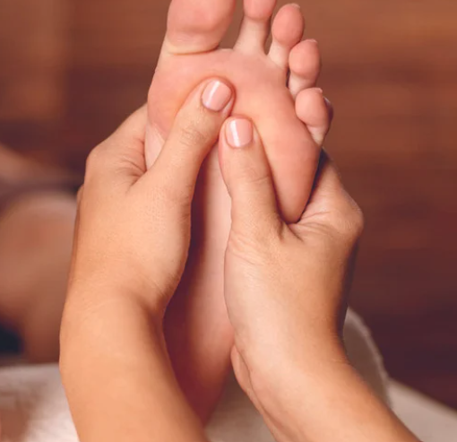 触診が劇的に変わる|体表解剖を理解すべきたった1つの理由