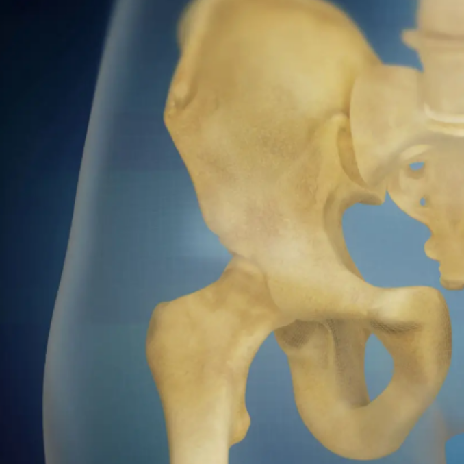 【動画配信】股関節の機能解剖・運動学の理解とリハビリテーション