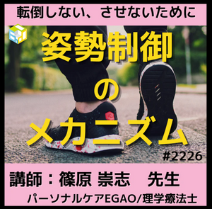 体幹機能として重要な姿勢制御機能を学んでみませんか？