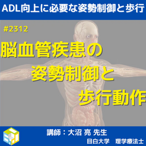 理学療法士・作業療法士向け講習会 | エポックセミナー