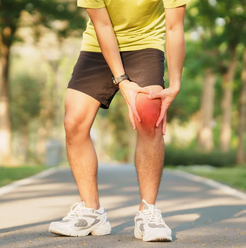 膝関節の構造理解にエコーを学ぶことの有用性とは？