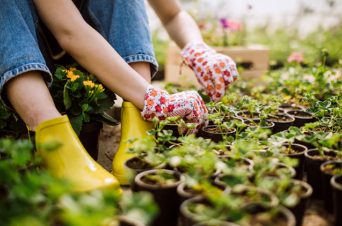 広島県立大学の吉川先生による作業療法を考える特別セミナー