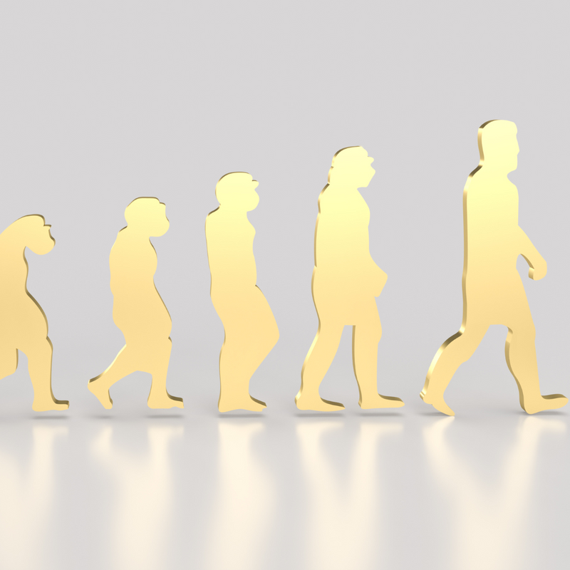 脳卒中片麻痺のステップ動作・歩行動作を正常発達学的な視点から評価・治療する
