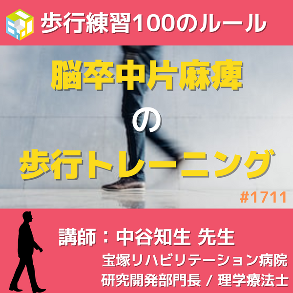145_grande.png?v=1668691190