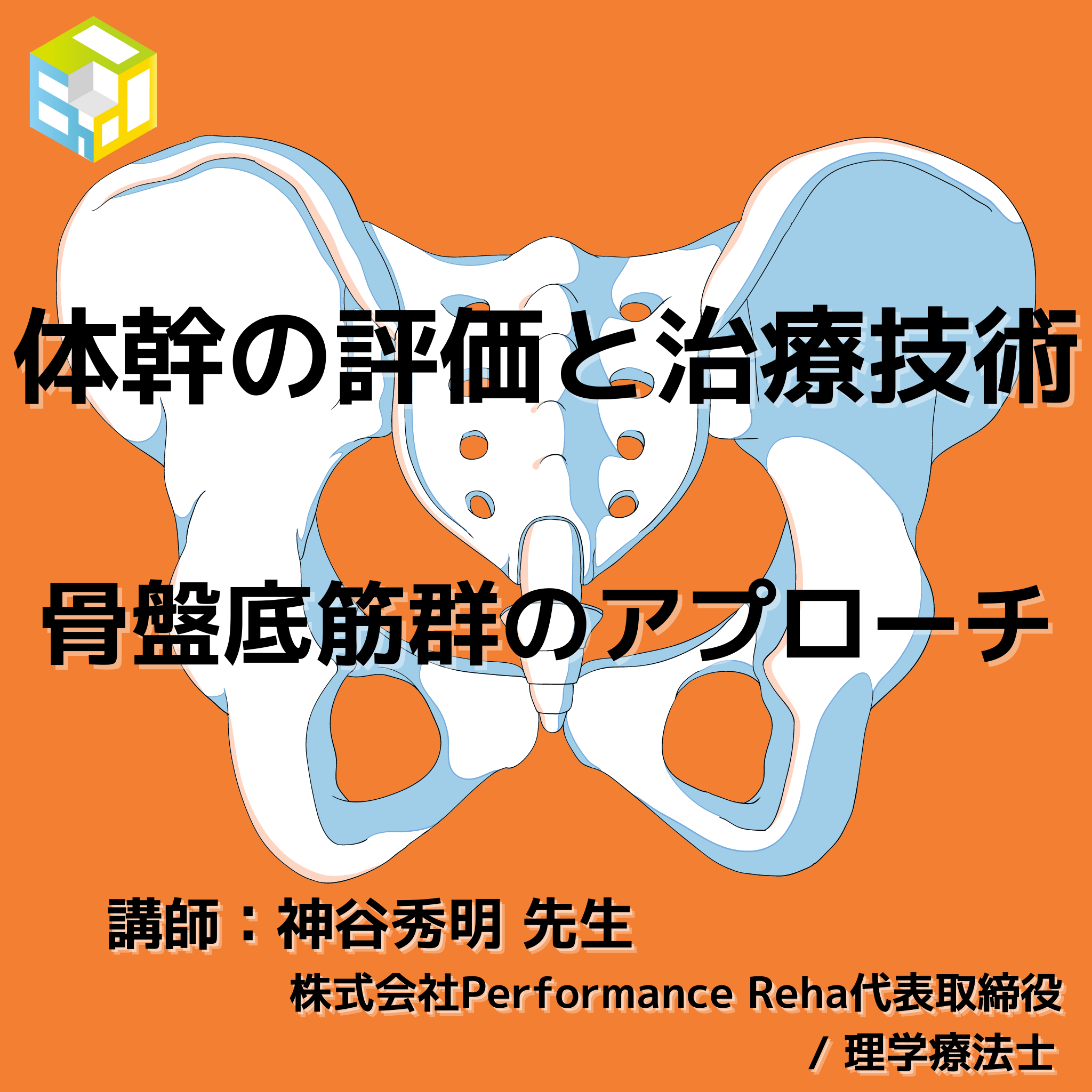 体幹の評価と治療技術｜骨盤底筋群のアプローチ#1253 – エポックセミナー